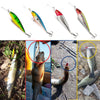 4 Sealurer floating fishing lures in different colors on white background and in use with caught fish